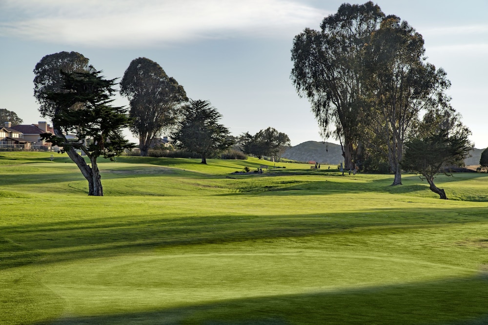 SEA PINES GOLF RESORT 14/50