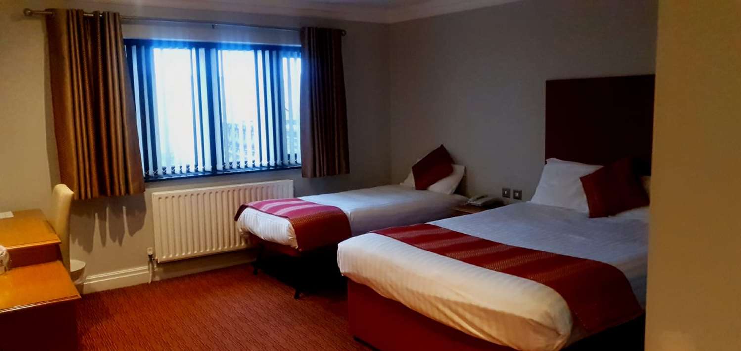 Family, 1 King and 1 Single Beds, Convertible Double Bed