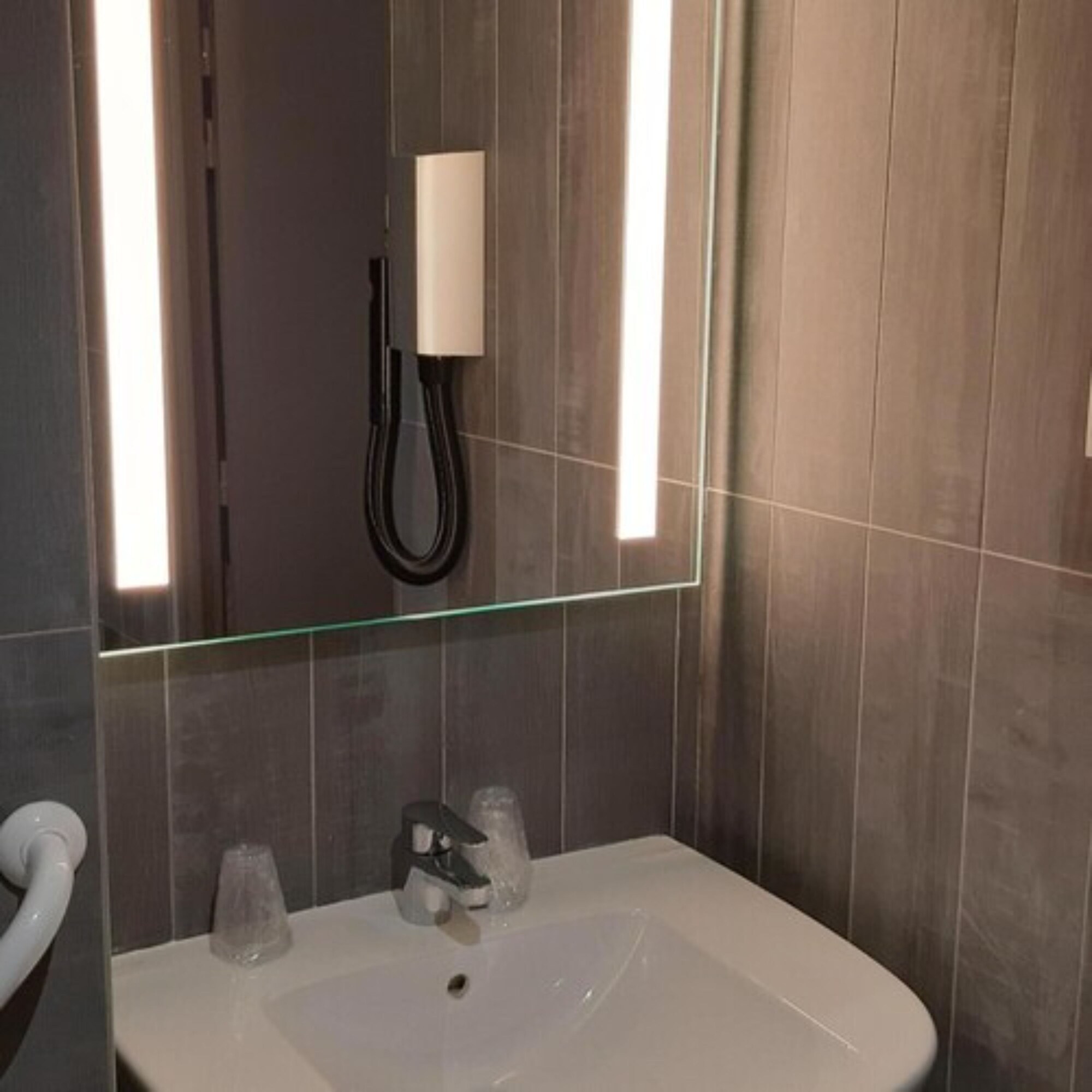 Ibis Arles