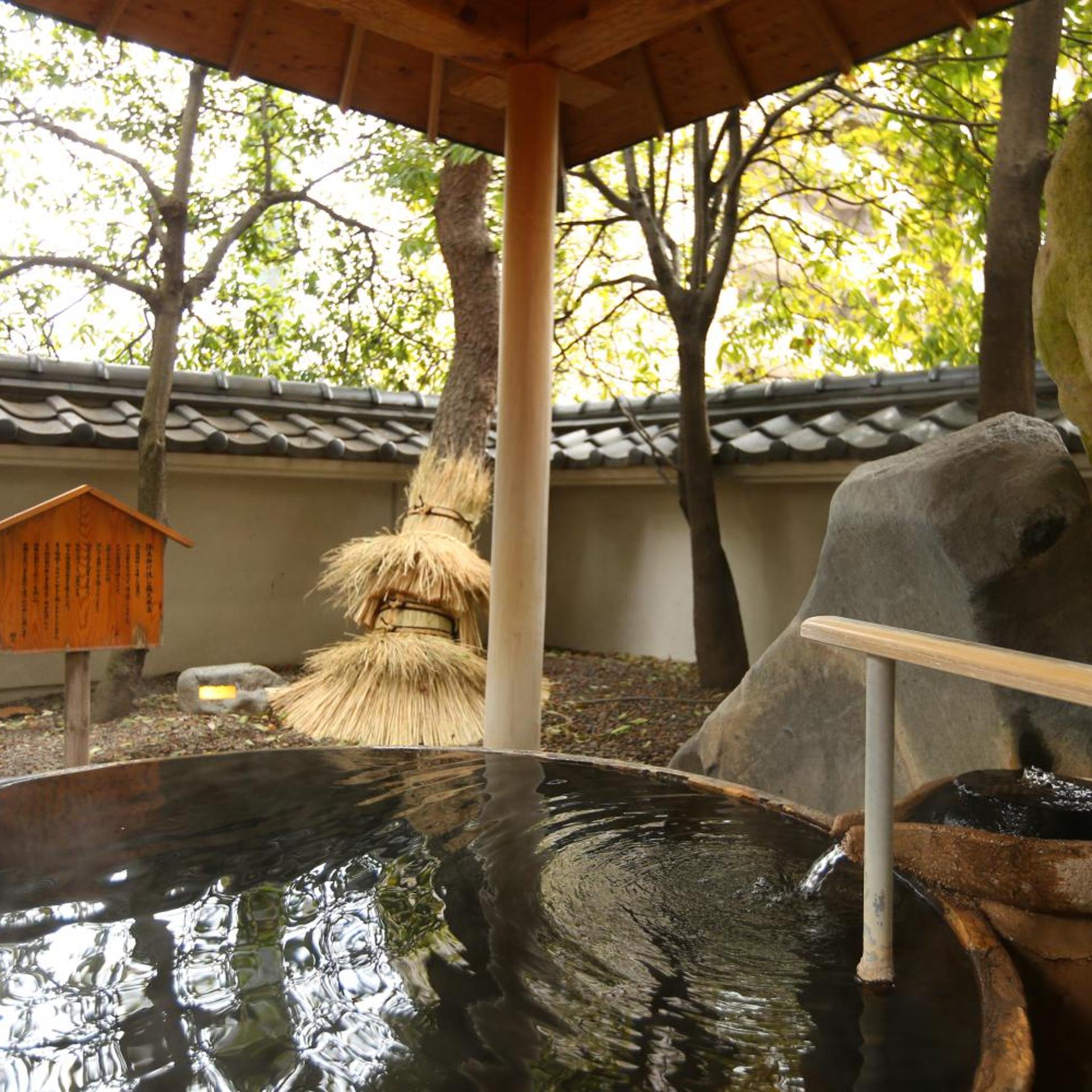 Hotel Saginoyu 22/39