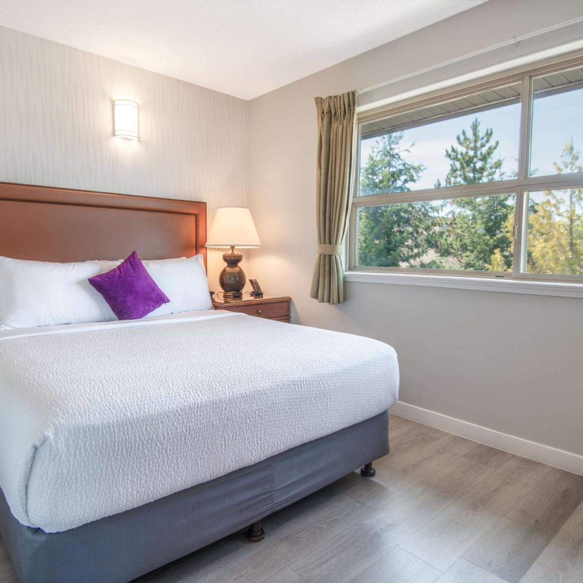 Coast, Premium, Studio, Suite, Queen Bed