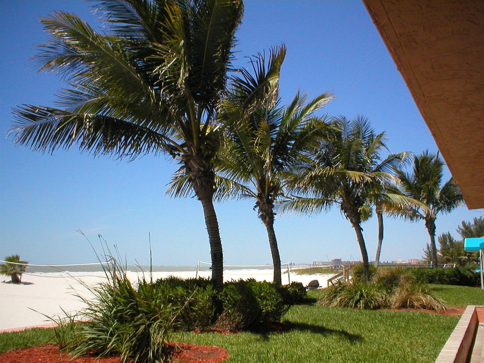 Island Inn Beach Resort 15/16