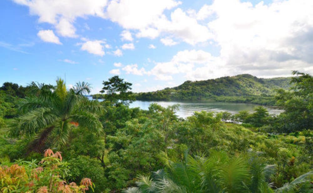 Bay View Villas 41/50