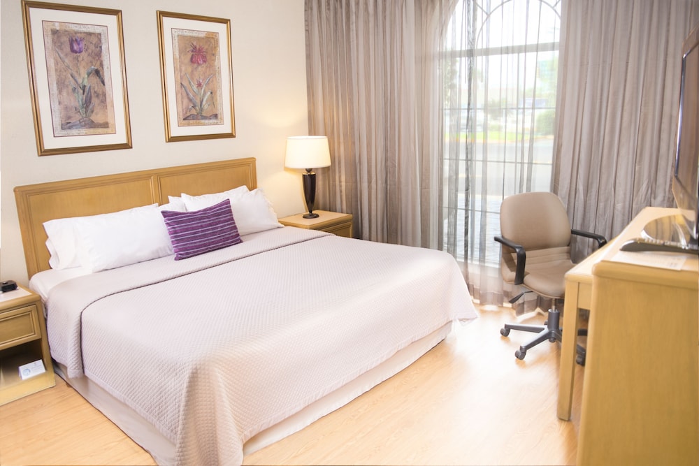 iStay Hotel Ciudad Victoria 9/50