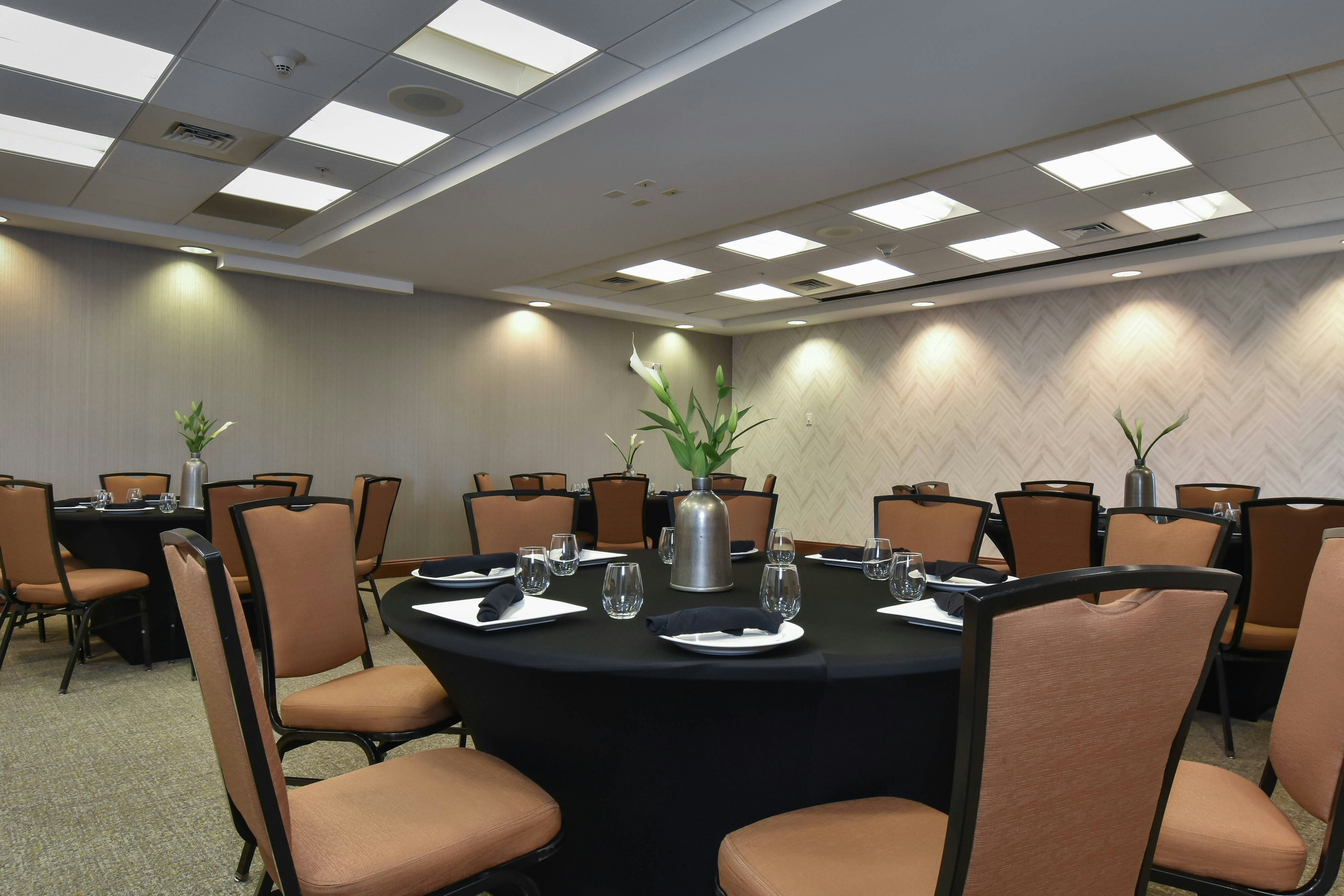 SpringHill Suites by Marriott Columbia Downtown/The Vista 8/15