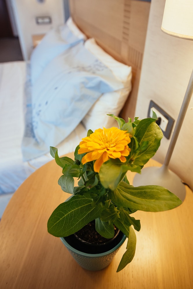 ALEXANDROS BOUTIQUE HOTEL 28/70