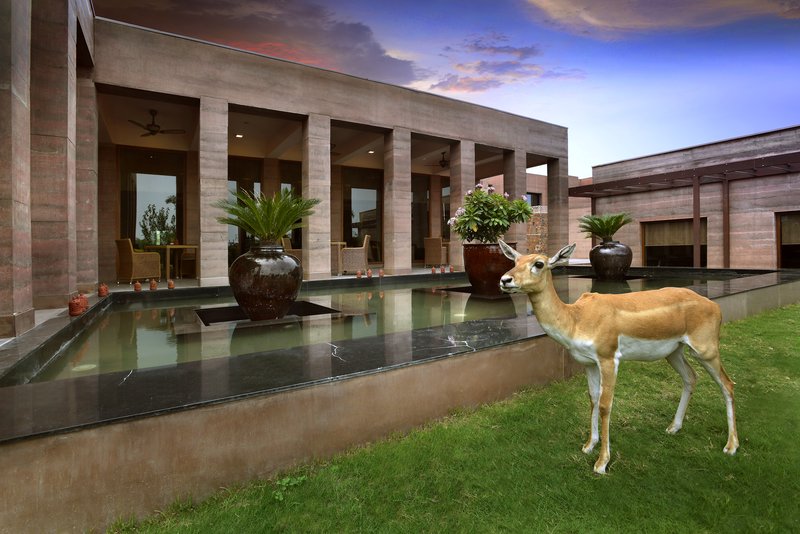 THE LALIT MANGAR 26/52