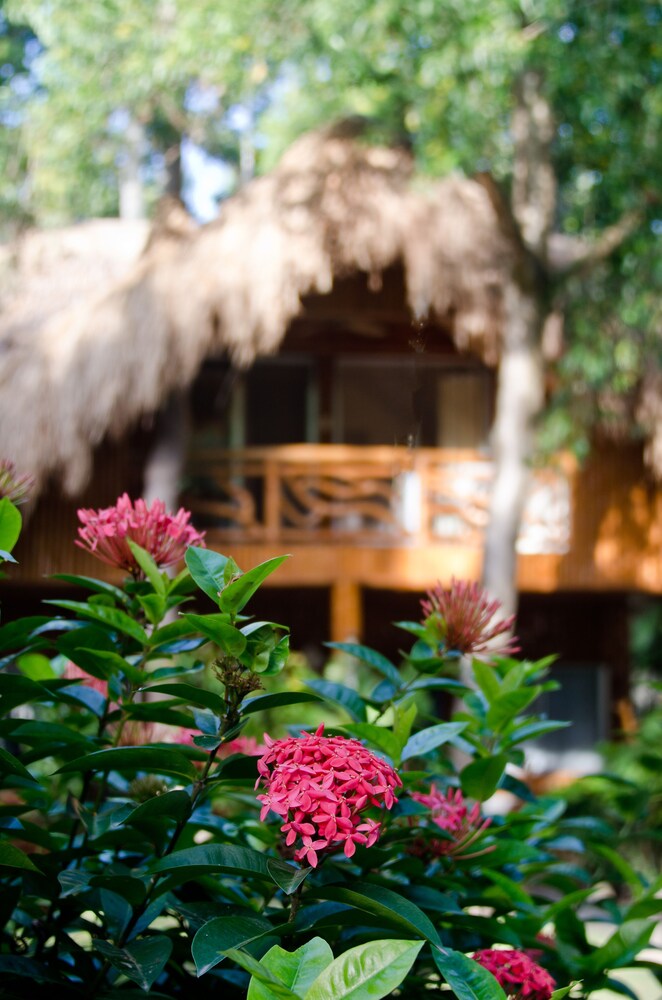 Mikes Dauin Beach Resort 6/70