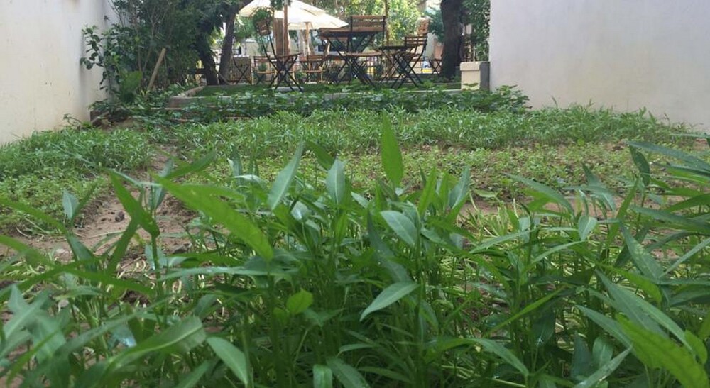 Heritage Homestay 8/31