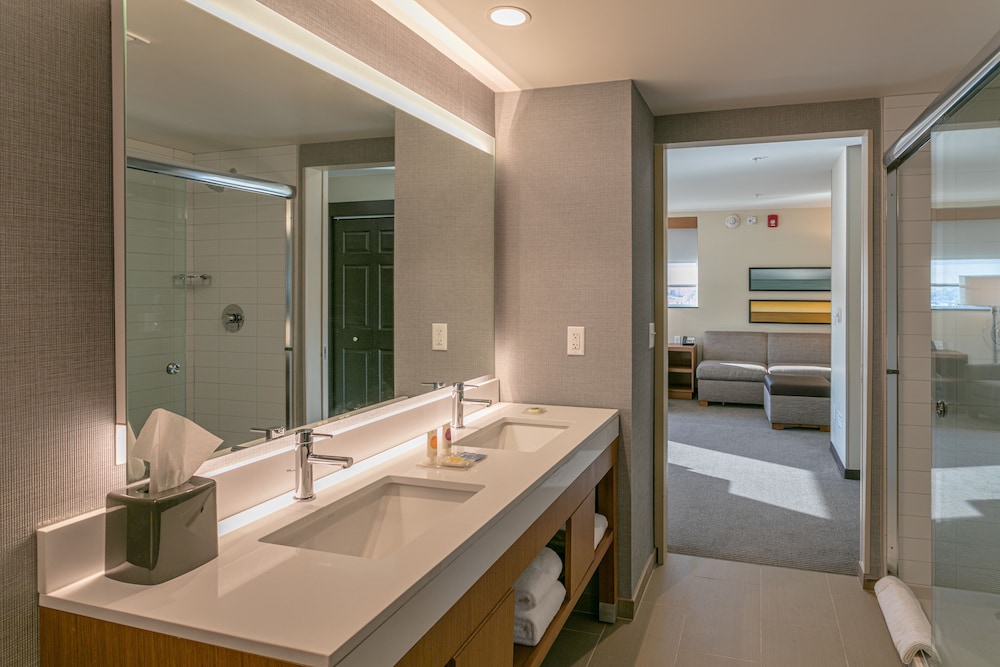 Hyatt Place Wilmington Riverfront 18/66