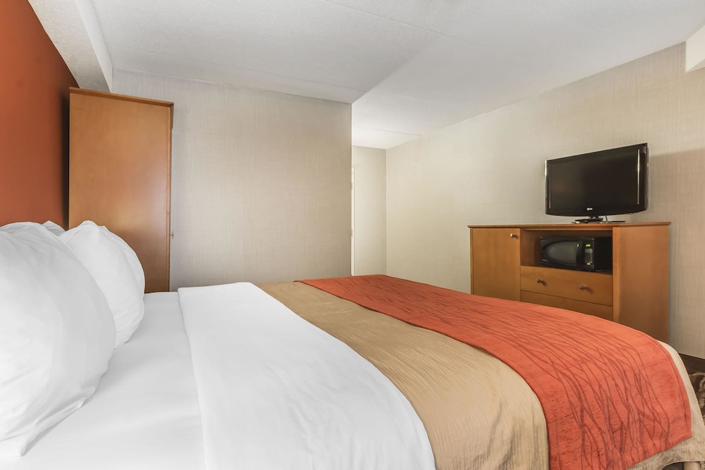 Spark by Hilton Oshawa 13/43