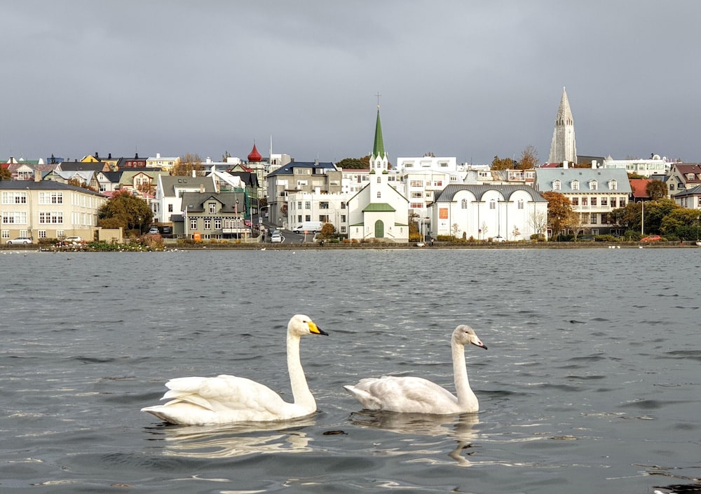 Lækur Hostel 24/28