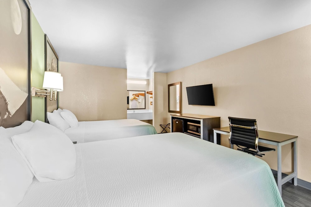 Room, 2 Double Beds