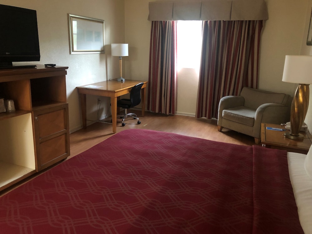 Rodeway Inn South Miami Coral Gables 29/39