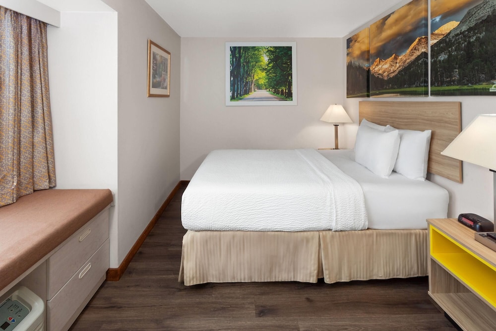 Room, Queen Bed, Accessible