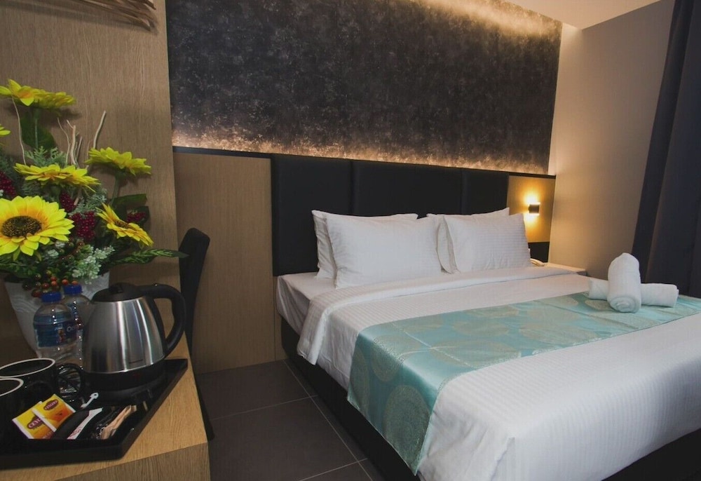 Solid Hotels 11/17
