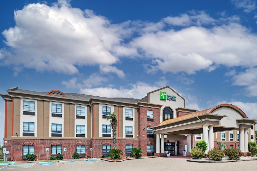 Holiday Inn Express Hotel Suites Vidor South 2/71