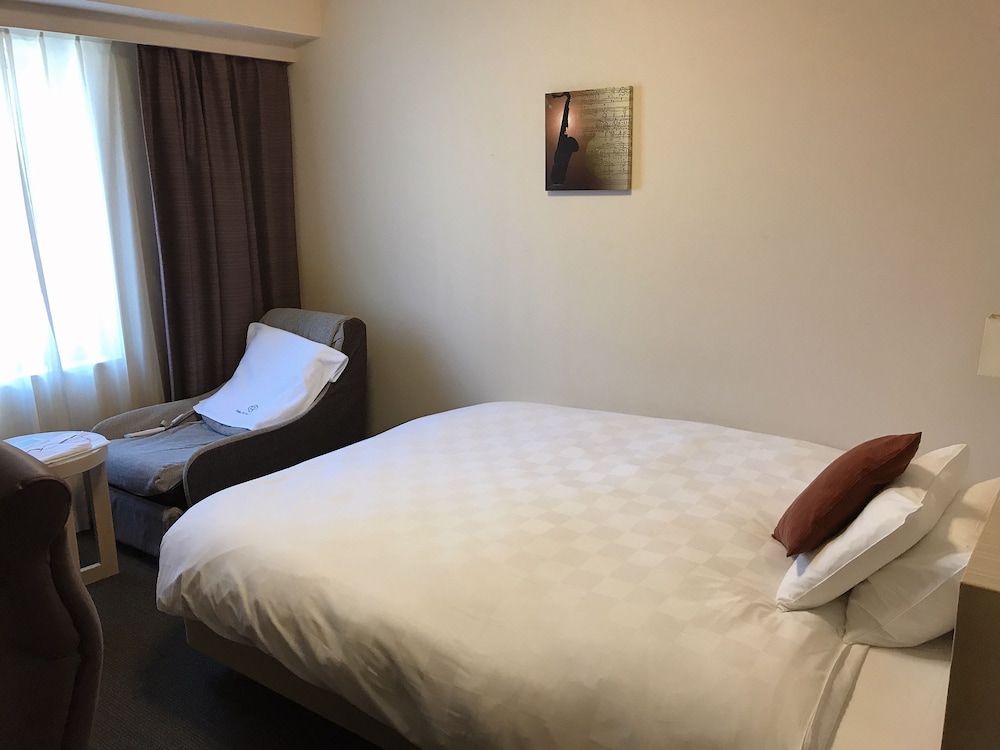 Daiwa Roynet Hotel Hamamatsu 18/50