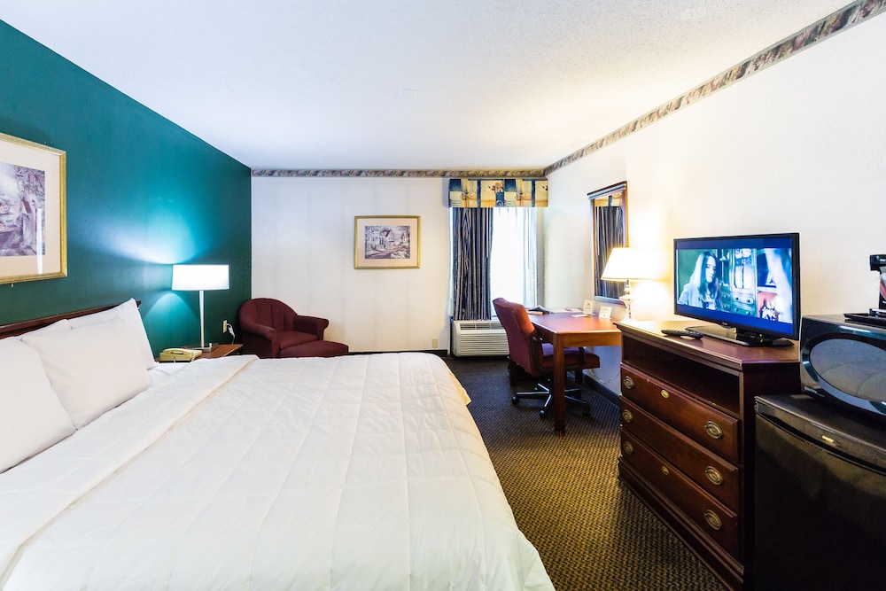The View Inn Suites Hotel 18/69