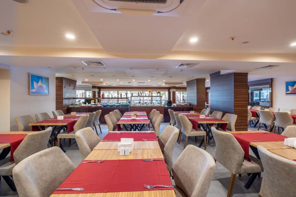 Viking Express Hotel 33/50