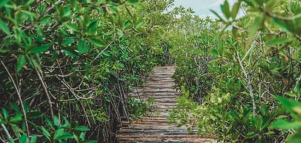 Cormoran Hotel Boutique & Cenote 33/48