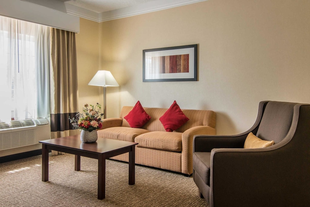 Comfort Suites Linn County Fairground And Expo 28/38