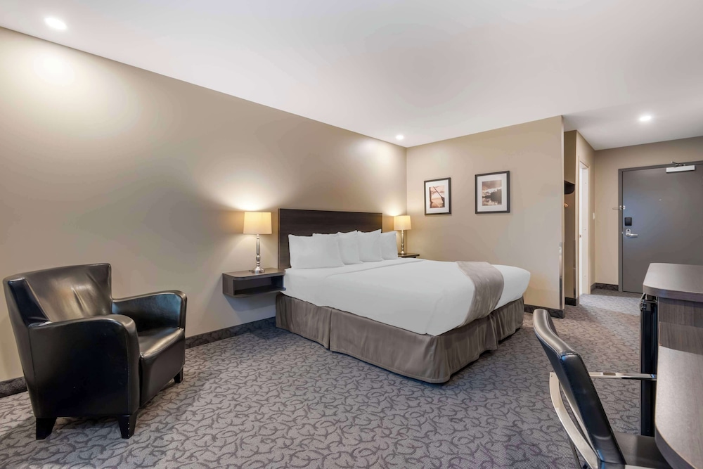 غرفة قياسية بسرير كينج يُسمح فيها بالحيوانات الأليفة لذوي الإعاقة، Villa Inn and Suites, SureStay Collection By Best Western 2/4