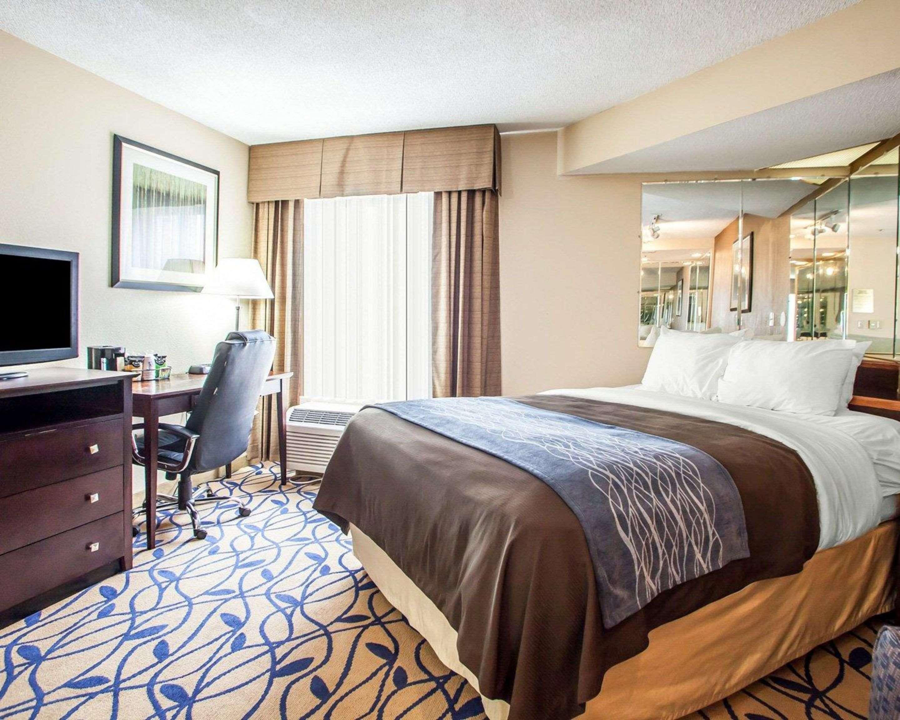 Room, Queen Bed