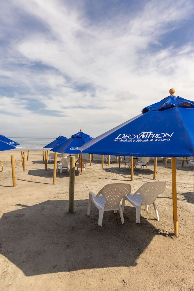 Decameron Cartagena 45/50