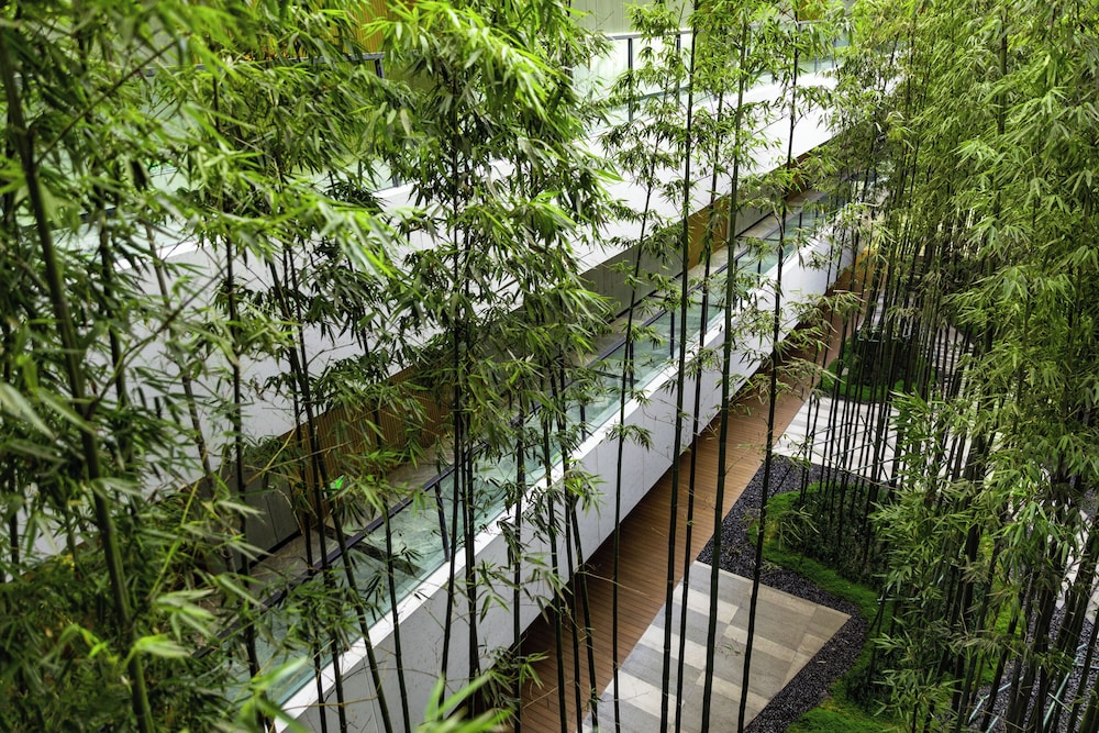 Melia Chongqing 5/46