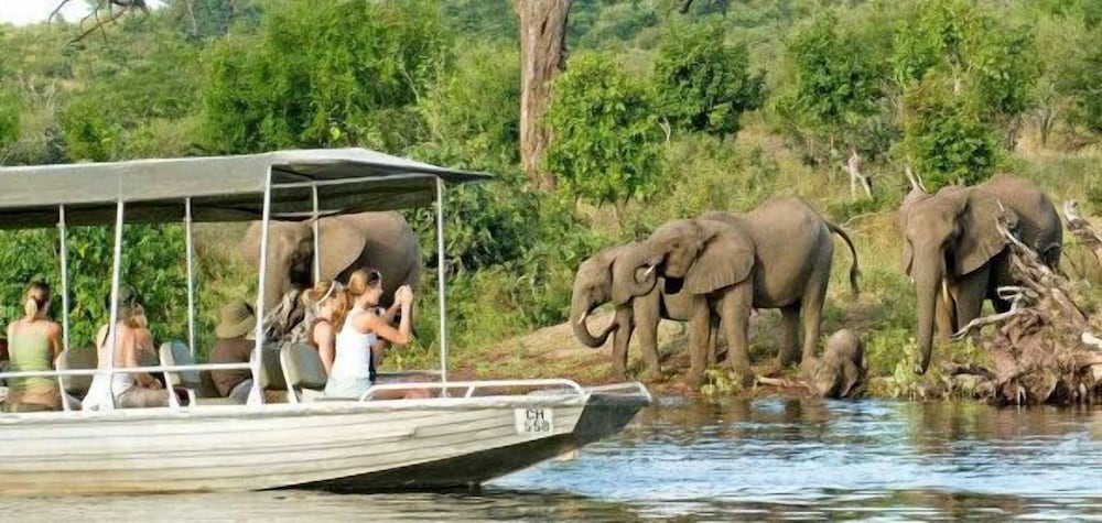 Khwai Tented Camp 8/50