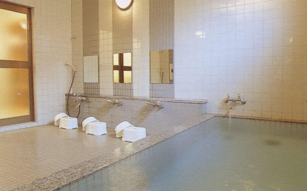 Hotel Mont Blanc Hakuba 24/49