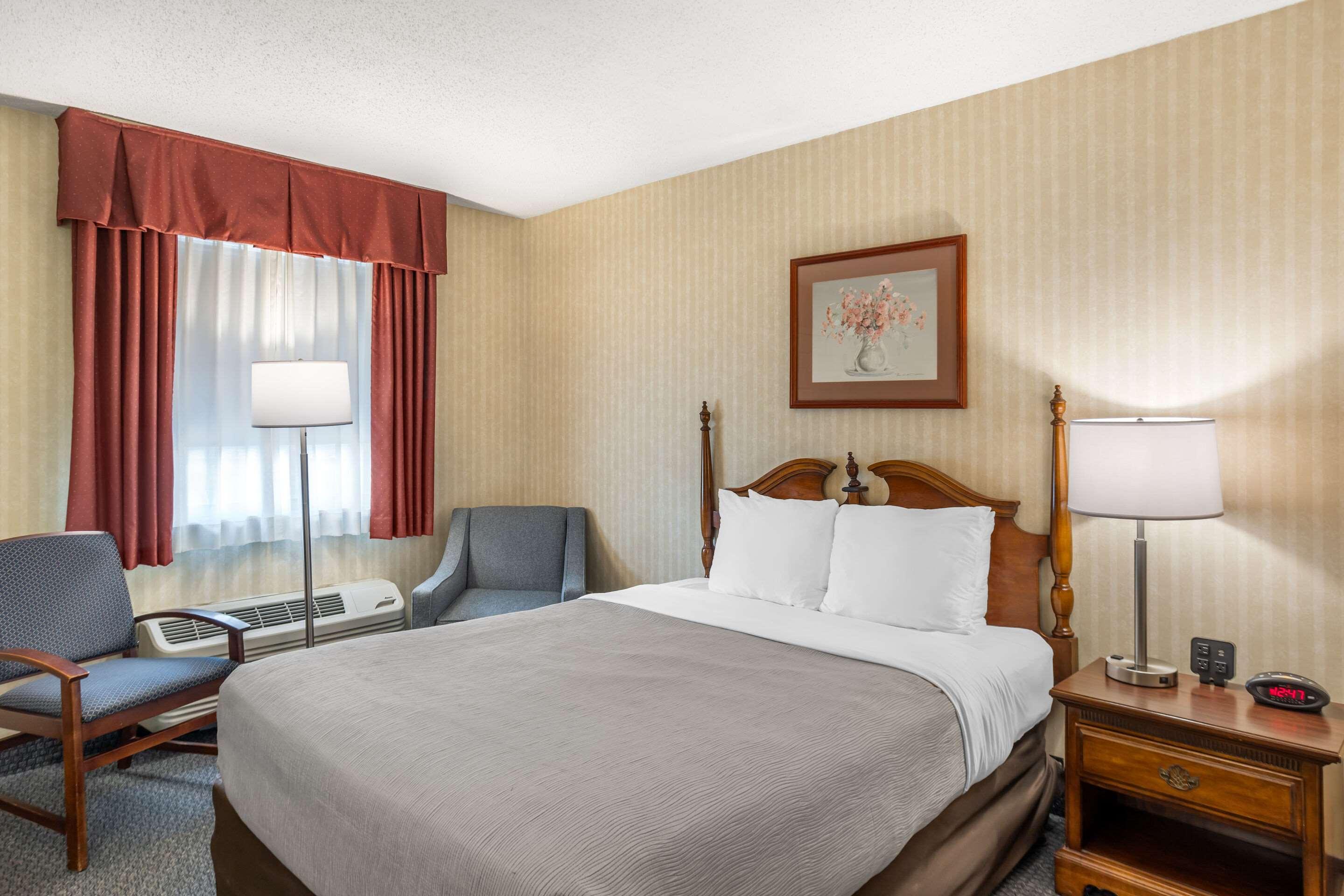 Room, Queen Bed