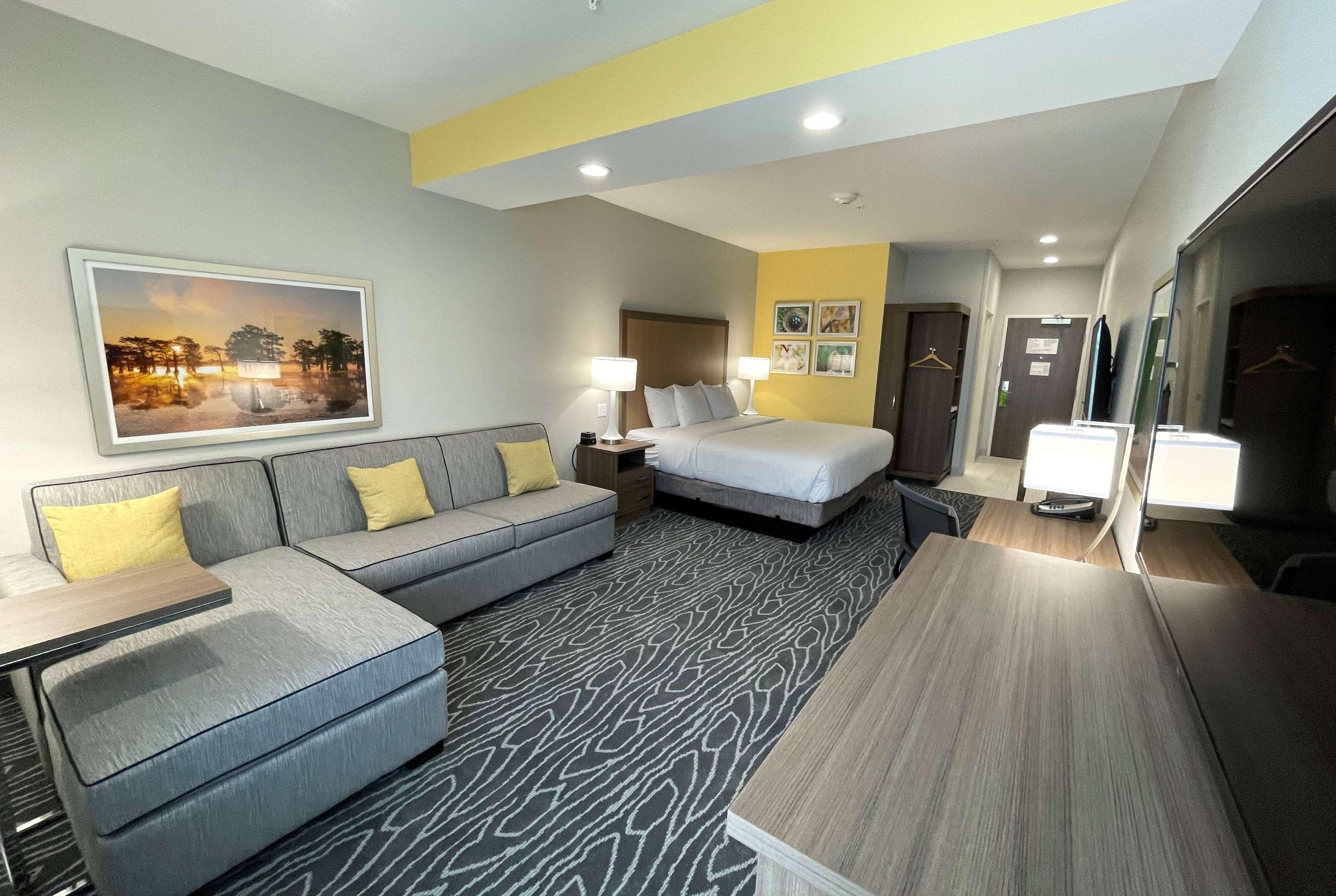 Studio, Suite, King Bed