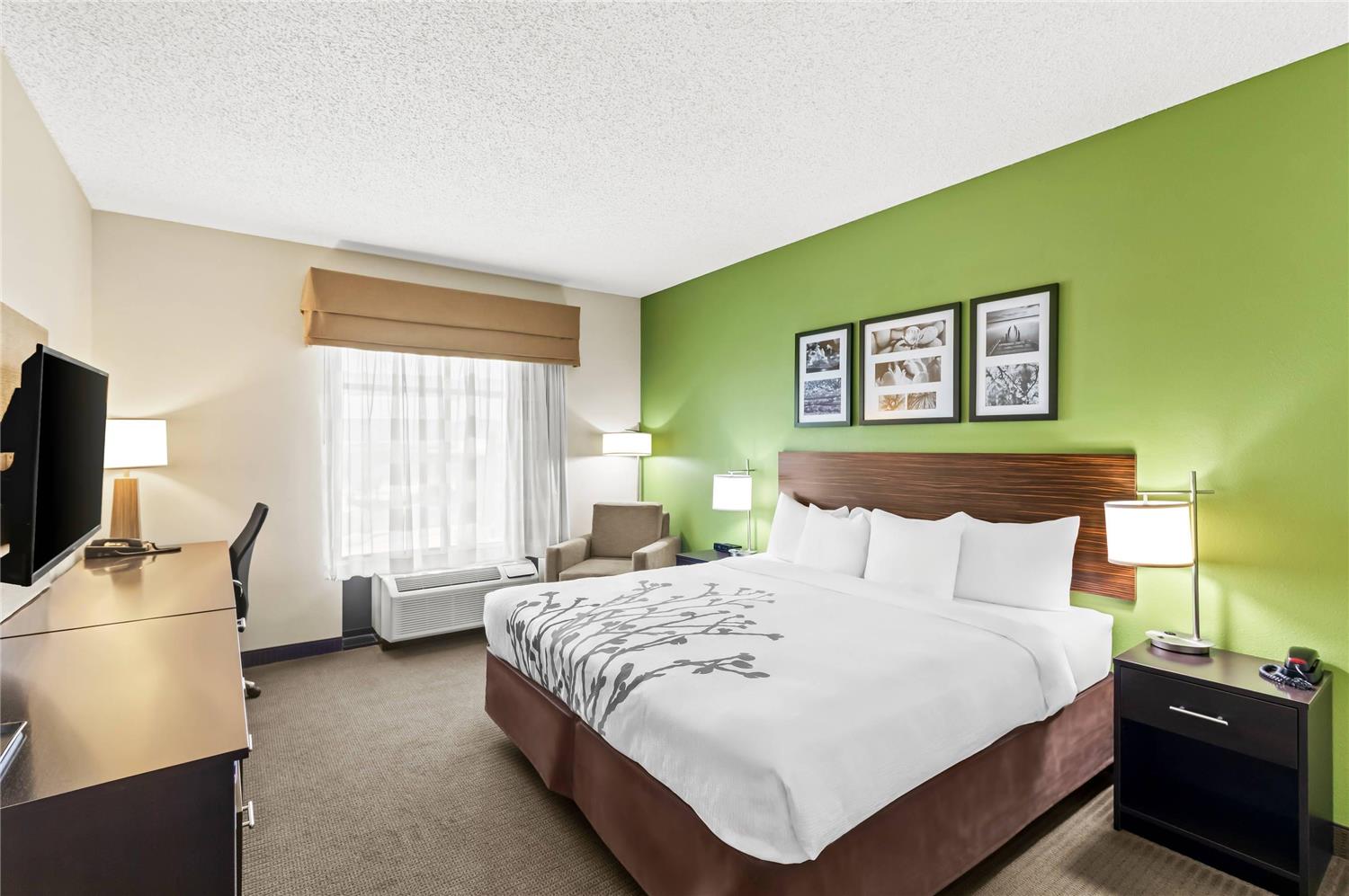 Room, King Bed