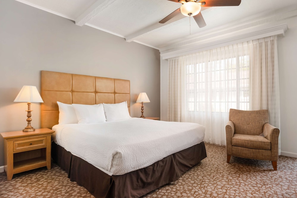 APARTMENT, KING BED, SOFA, LIVING AREA, KITCHEN