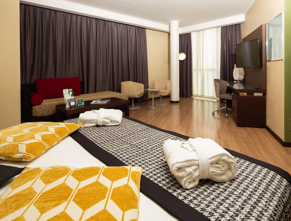 HOLIDAY INN TURIN CORSO FRANCIA 17/54