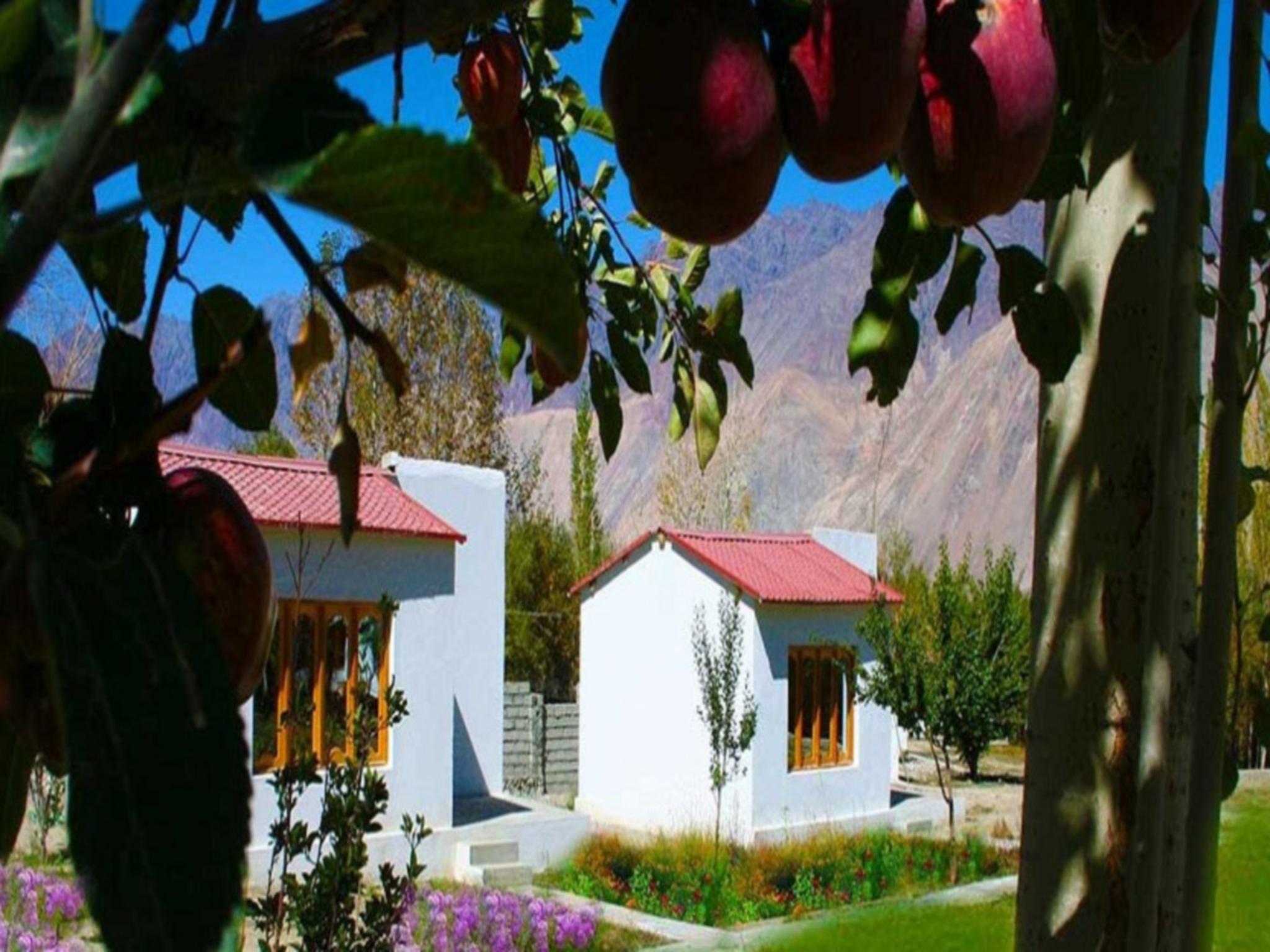 Himalayan Eco Resort 19/24