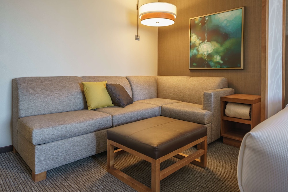Hyatt Place Houston Galleria 43/61