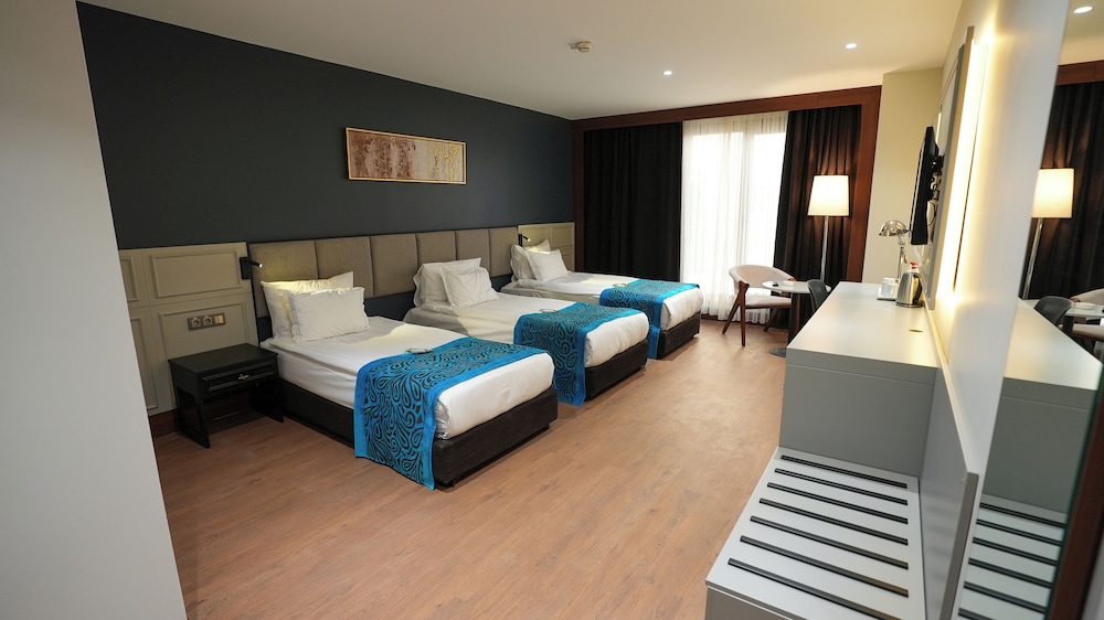 Deluxe, Triple, 3 Beds, Teymur Continental Hotel 2/10