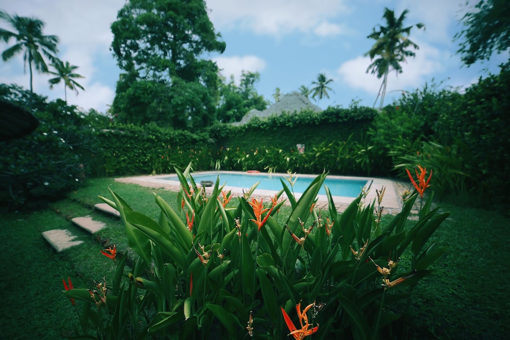 Marari Beach a CGH Earth Experience 35/50