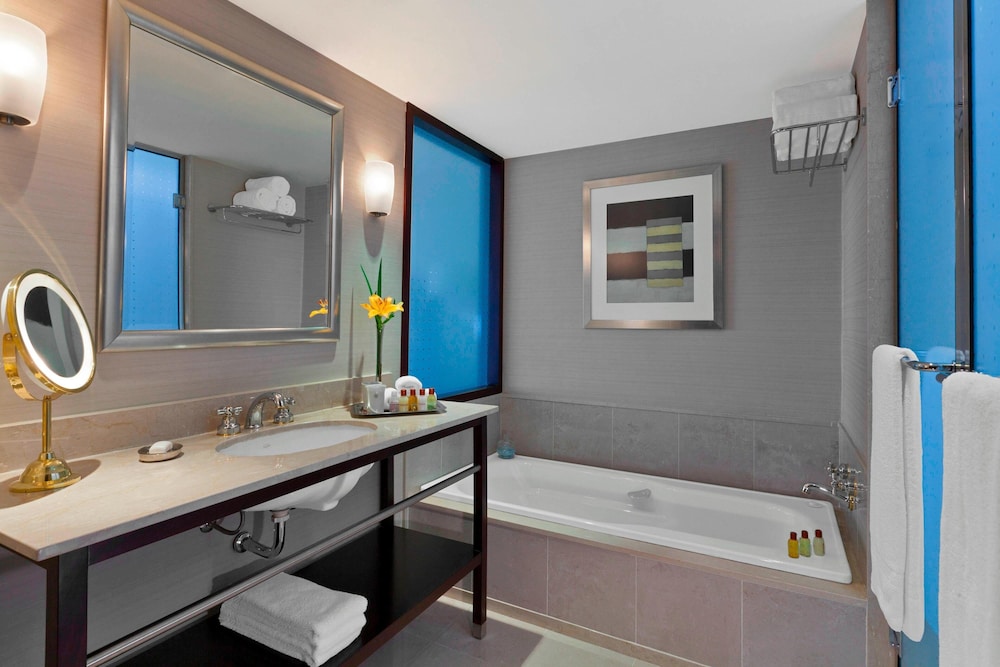 Sheraton Buenos Aires Hotel And Convention Center 46/65