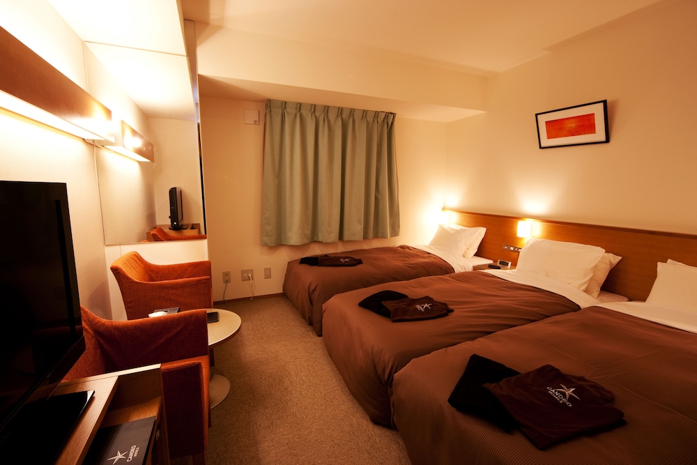 Candeo Hotel Uenokouen Ueno Park 13/63
