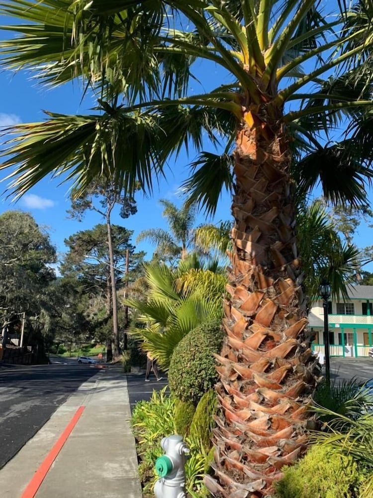Monterey Pines Inn 41/42