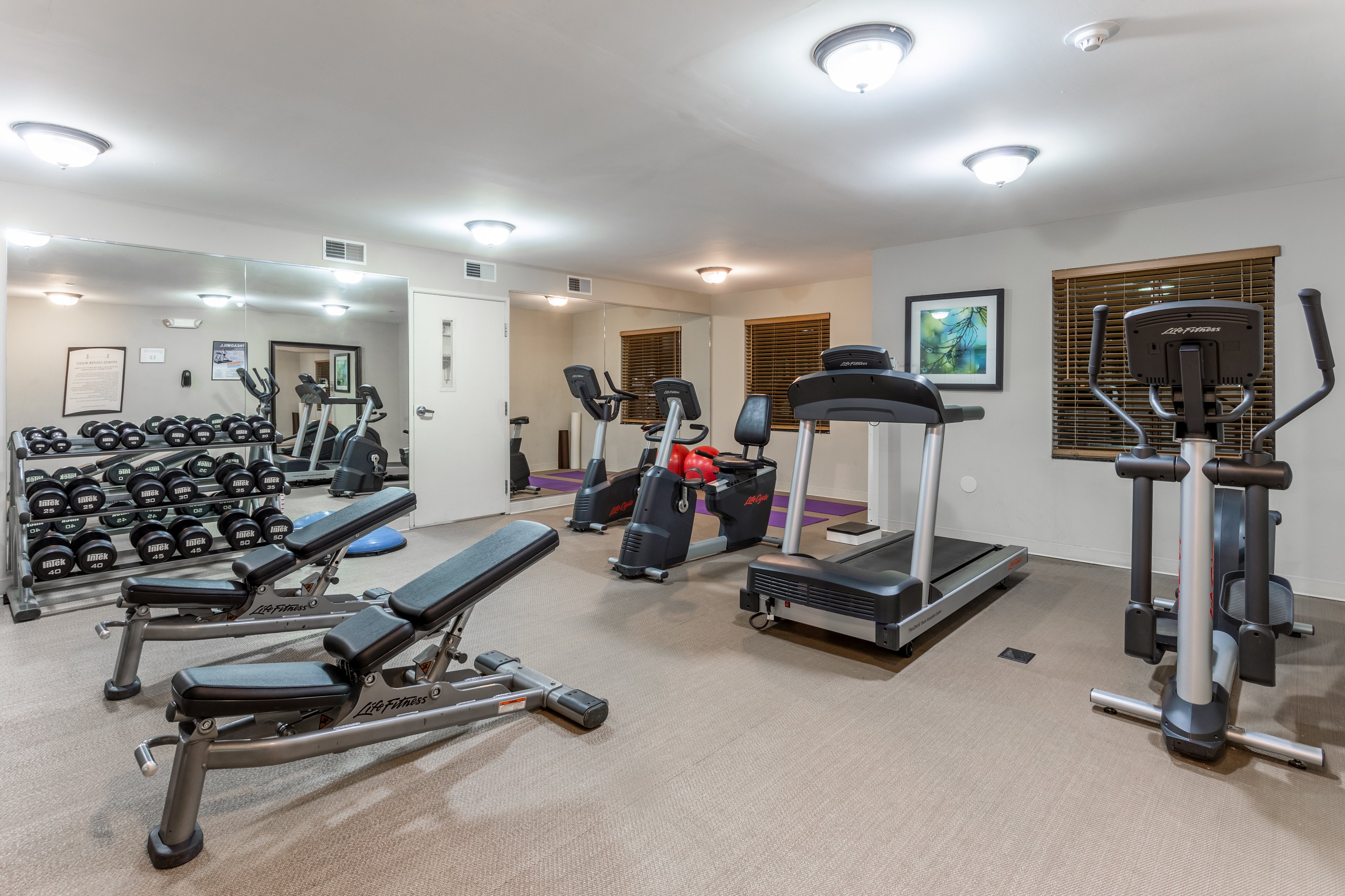 Staybridge Suites Davenport 31/64