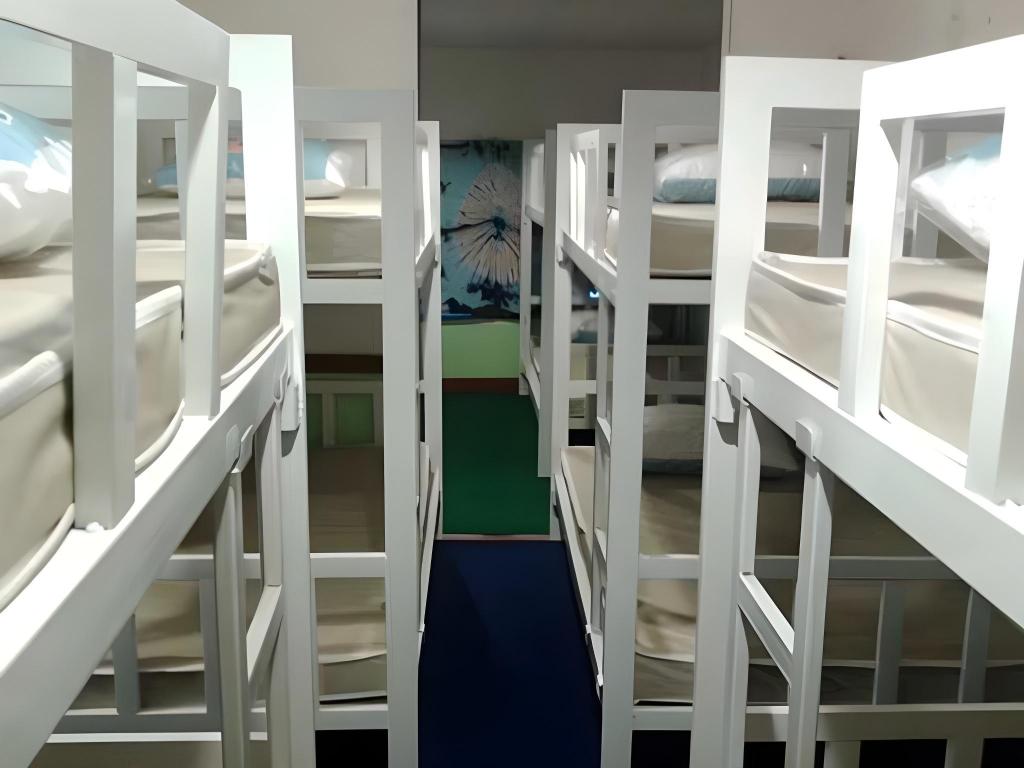 Mixed Dorm, 10 Beds, 4 Bunk Beds