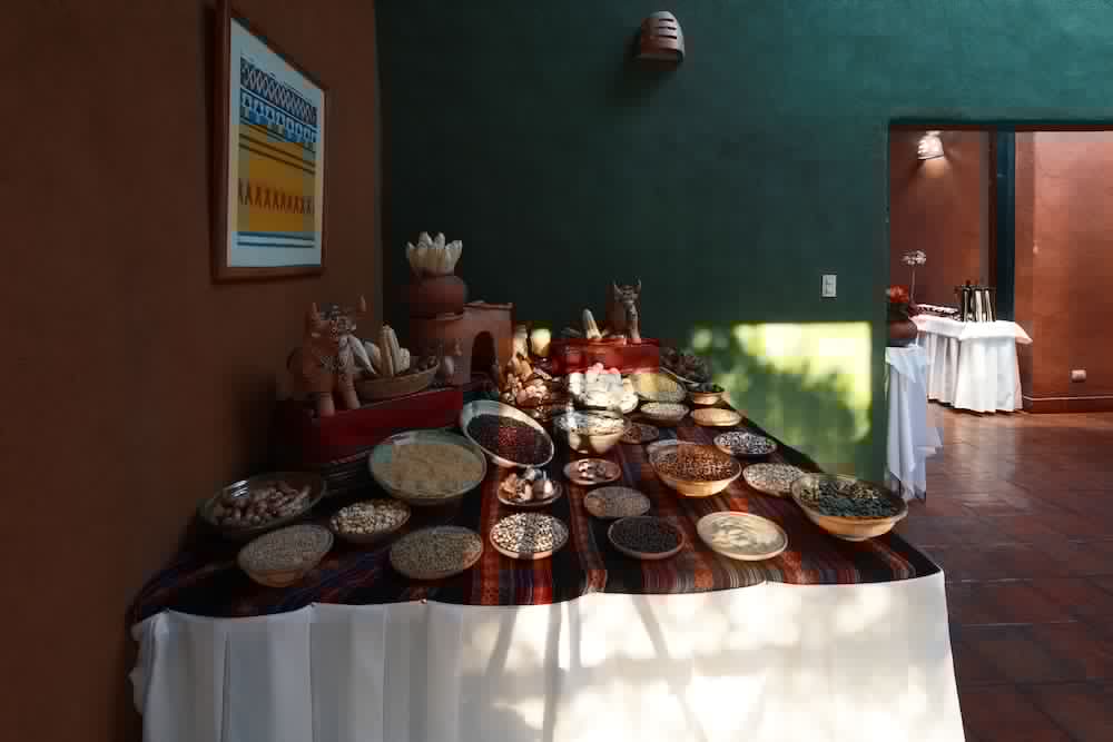 San Agustin Monasterio de La Recoleta 66/77