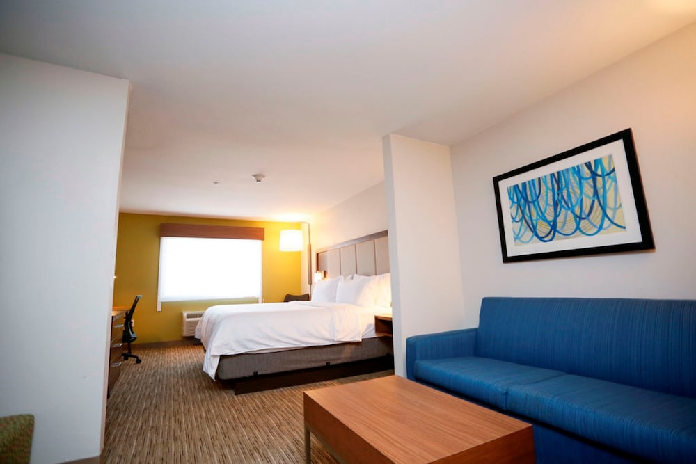 Holiday Inn Express Hotel and Suites Carlsbad 20/65