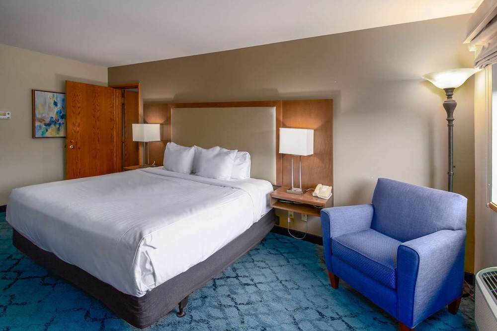 Suite, King Bed