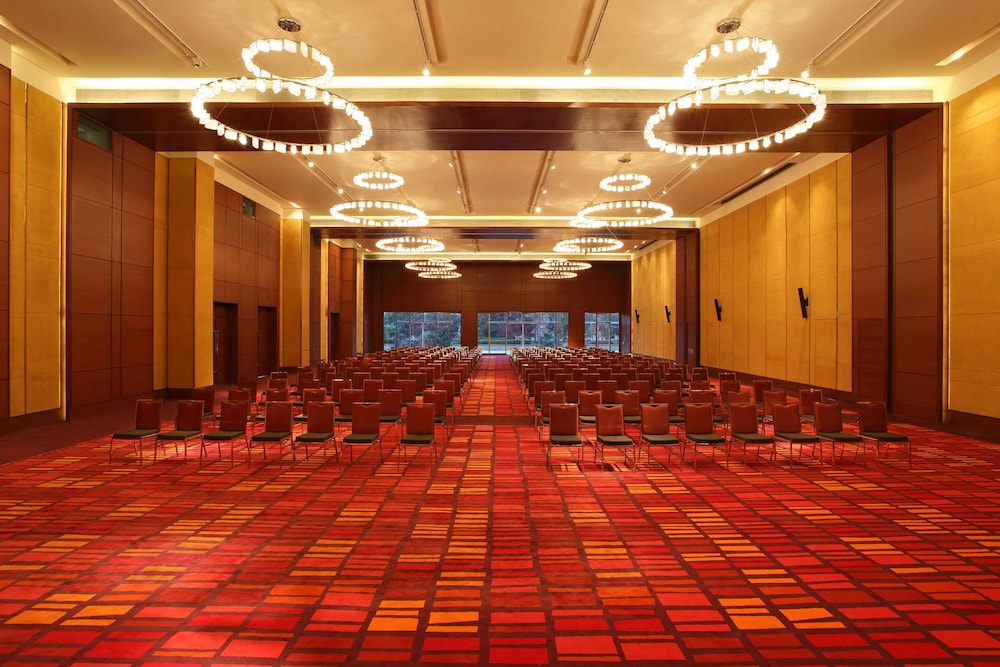 HYATT REGENCY CHANDIGARH 43/50